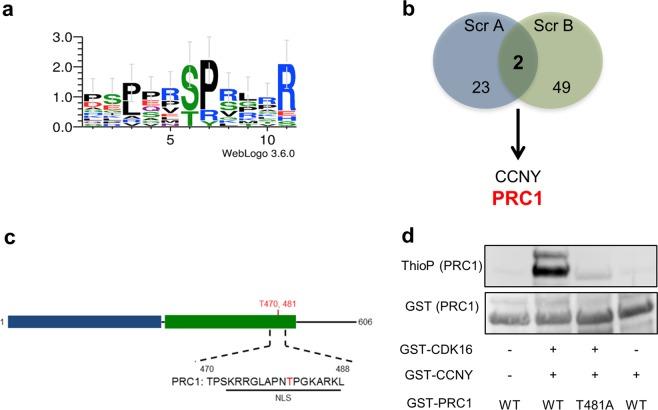 https://cdn.ncbi.nlm.nih.gov/pmc/blobs/05c4/6467995/730cb06988ed/12276_2019_242_Fig3_HTML.jpg
