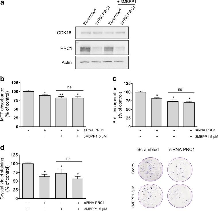 https://cdn.ncbi.nlm.nih.gov/pmc/blobs/05c4/6467995/74768037af09/12276_2019_242_Fig6_HTML.jpg