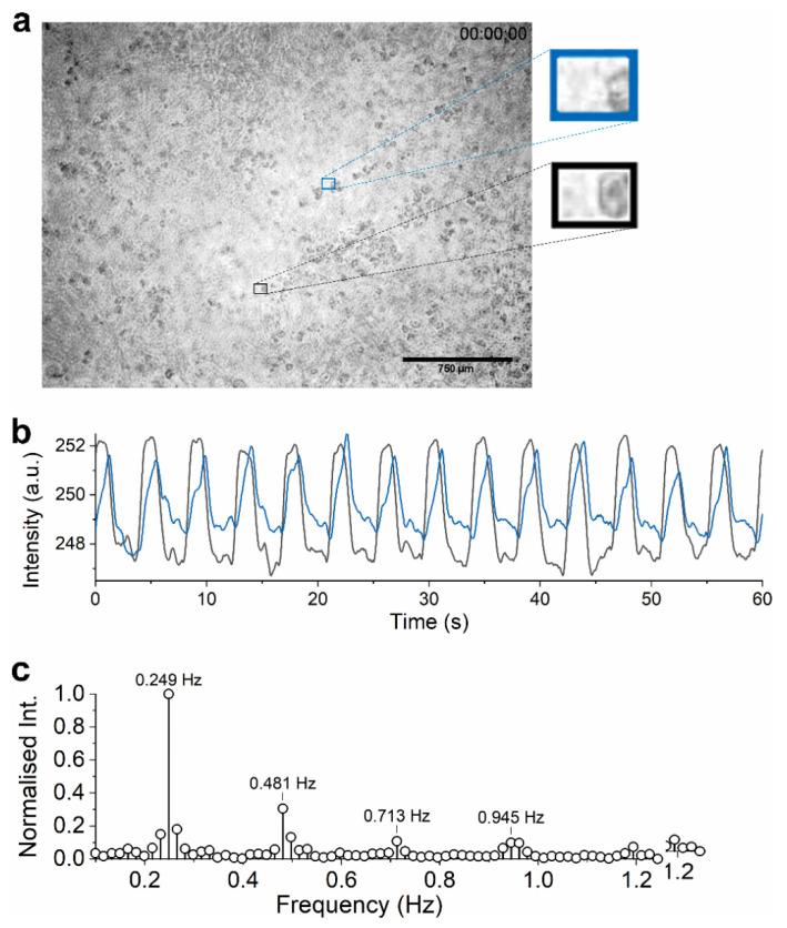 https://cdn.ncbi.nlm.nih.gov/pmc/blobs/05c4/7923073/20e9eca02af1/sensors-21-01433-g004.jpg