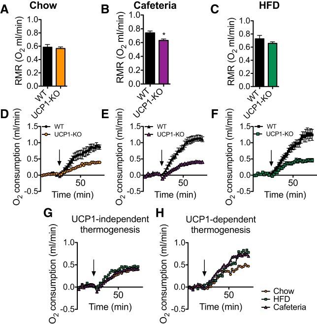 https://cdn.ncbi.nlm.nih.gov/pmc/blobs/05c5/6580168/07878aec26d7/zh10041980610007.jpg