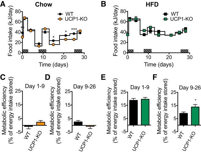 https://cdn.ncbi.nlm.nih.gov/pmc/blobs/05c5/6580168/b7ee0a16c08c/zh10041980610002.jpg