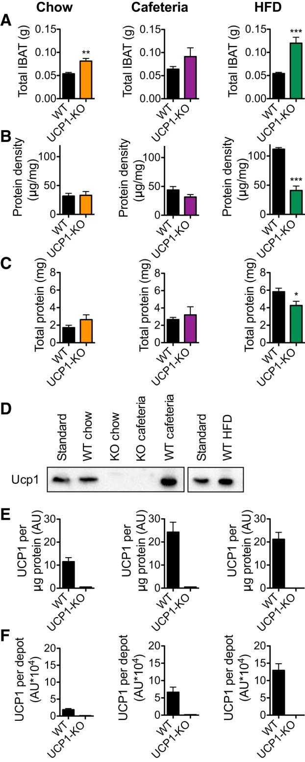 https://cdn.ncbi.nlm.nih.gov/pmc/blobs/05c5/6580168/ecdf642dfdbf/zh10041980610008.jpg