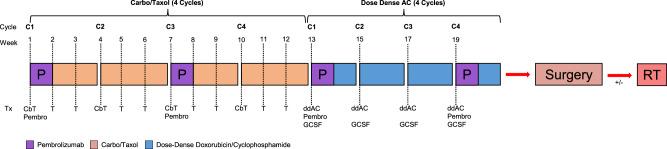 https://cdn.ncbi.nlm.nih.gov/pmc/blobs/05cc/11150442/baae47fdc854/41523_2024_643_Fig1_HTML.jpg