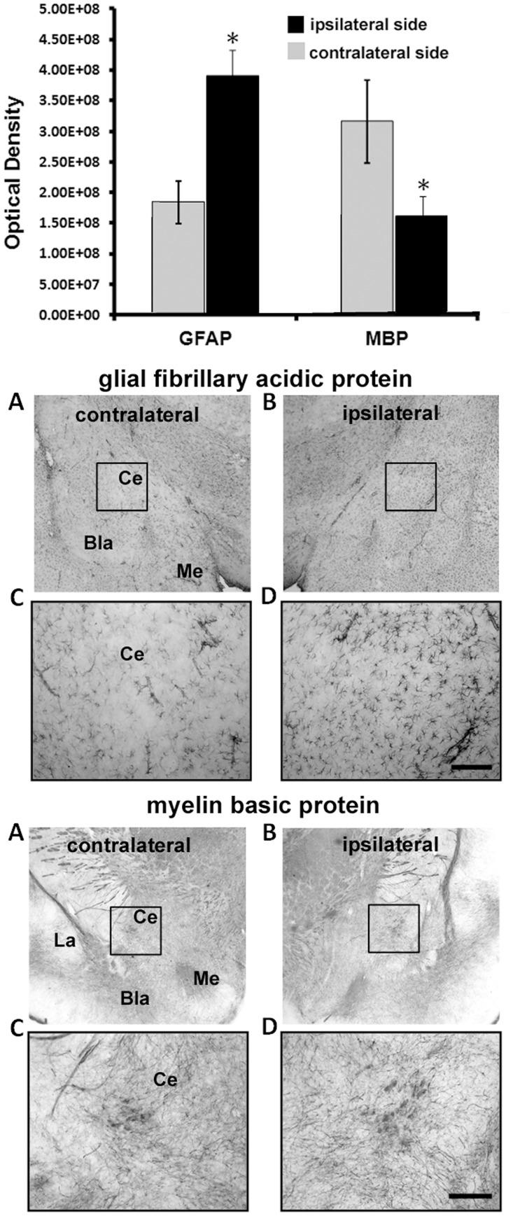 https://cdn.ncbi.nlm.nih.gov/pmc/blobs/05cd/4425537/9995f61b2bb5/pone.0125748.g003.jpg