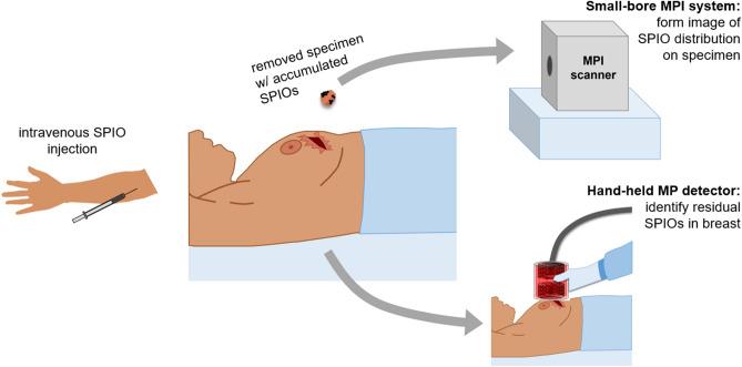 https://cdn.ncbi.nlm.nih.gov/pmc/blobs/05ce/8242088/2c2bb1d2e754/41598_2021_92644_Fig2_HTML.jpg