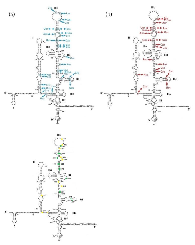 https://cdn.ncbi.nlm.nih.gov/pmc/blobs/05cf/6276526/967a7bc1bc12/AV2018-4835252.001.jpg