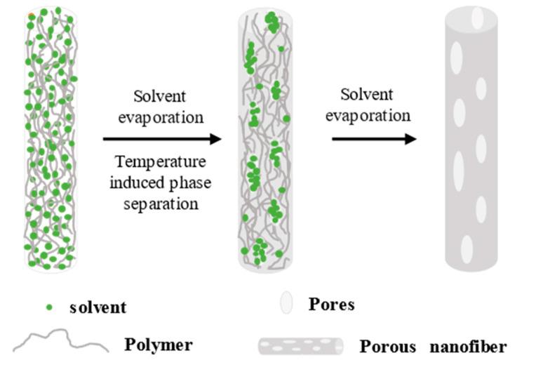https://cdn.ncbi.nlm.nih.gov/pmc/blobs/05cf/9570808/0665f4e2da61/polymers-14-03990-g005.jpg