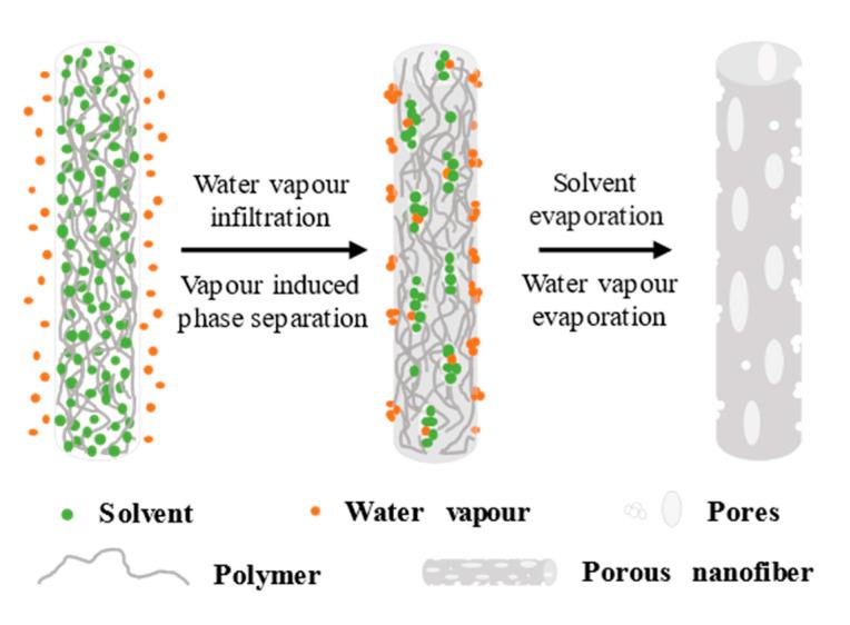 https://cdn.ncbi.nlm.nih.gov/pmc/blobs/05cf/9570808/e82b48aa0789/polymers-14-03990-g003.jpg