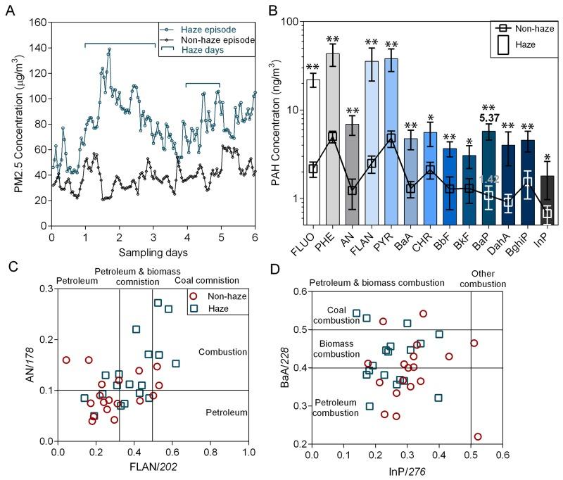 https://cdn.ncbi.nlm.nih.gov/pmc/blobs/05d2/5668018/9a9446ecee7c/oncotarget-08-79034-g001.jpg