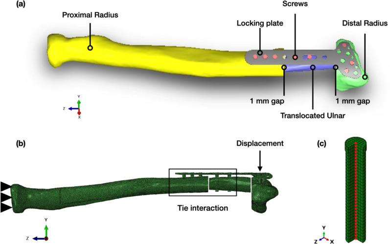 https://cdn.ncbi.nlm.nih.gov/pmc/blobs/05d4/12162135/2bcf6b6f55d7/ABPID9-000009-026123_1-g007.jpg