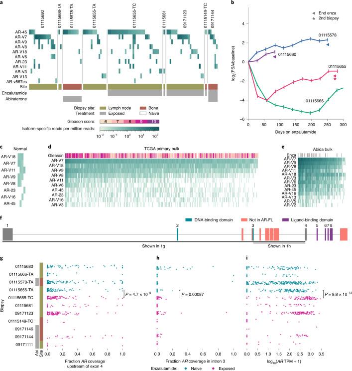 https://cdn.ncbi.nlm.nih.gov/pmc/blobs/05d7/7960507/9052a669a4be/41591_2021_1244_Fig1_HTML.jpg