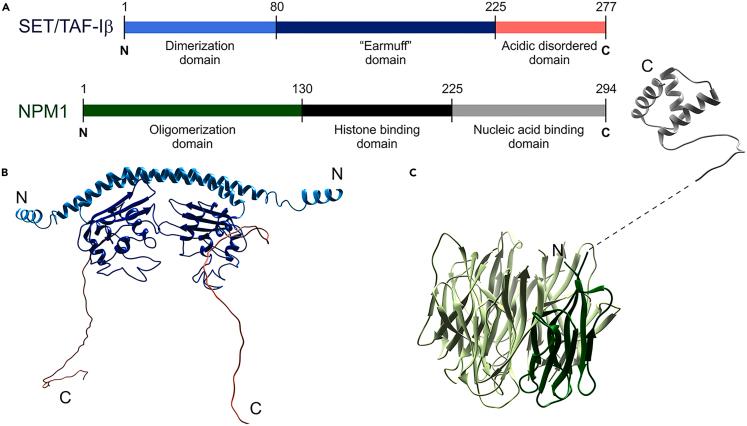 https://cdn.ncbi.nlm.nih.gov/pmc/blobs/05d8/11301353/2de0f747c396/gr1.jpg