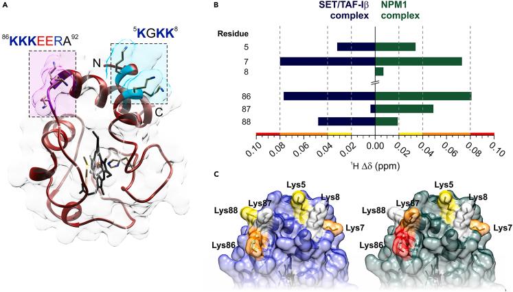 https://cdn.ncbi.nlm.nih.gov/pmc/blobs/05d8/11301353/ee1391900b99/gr2.jpg