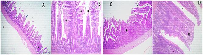 https://cdn.ncbi.nlm.nih.gov/pmc/blobs/05d8/7689185/bdc43dfdd0f6/fvets-07-582612-g0004.jpg