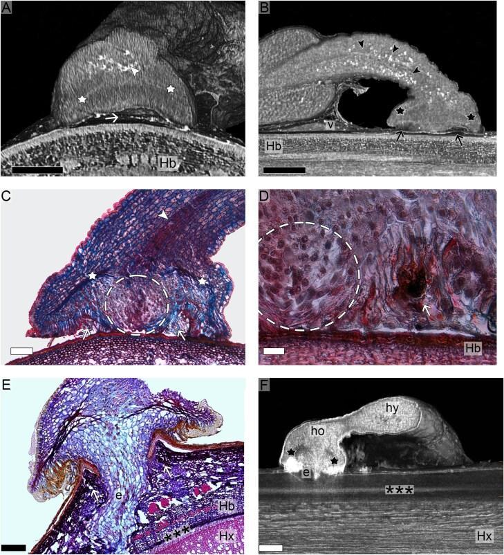 https://cdn.ncbi.nlm.nih.gov/pmc/blobs/05d9/12369475/7ec8d0c73331/eraf129_fig3.jpg