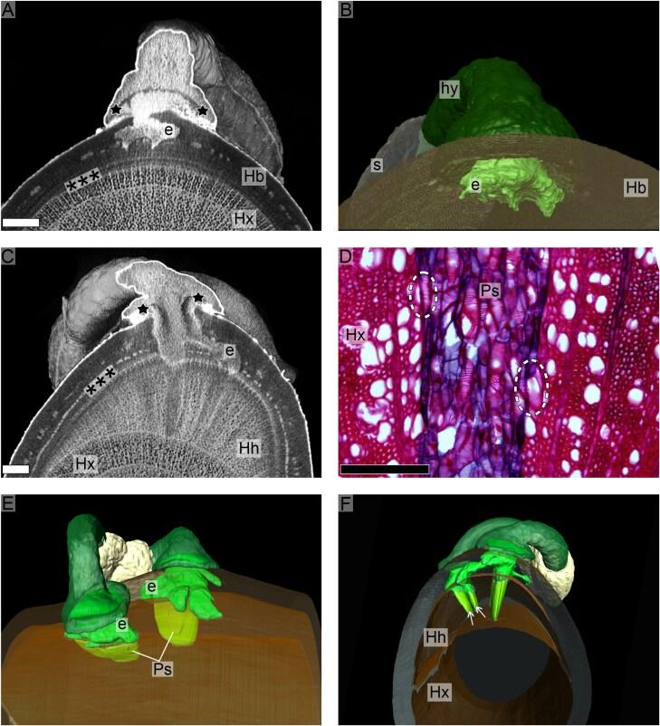 https://cdn.ncbi.nlm.nih.gov/pmc/blobs/05d9/12369475/92035d25a500/eraf129_fig4.jpg