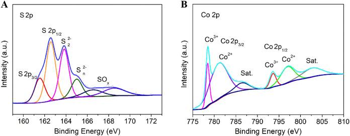 https://cdn.ncbi.nlm.nih.gov/pmc/blobs/05da/12305473/6832c9ab531e/fchem-13-1633529-g003.jpg