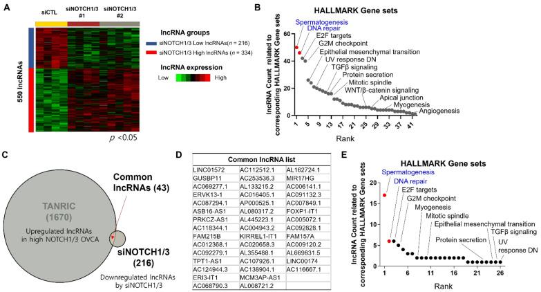 https://cdn.ncbi.nlm.nih.gov/pmc/blobs/05dc/8946805/09bed9a66f52/cancers-14-01557-g002.jpg