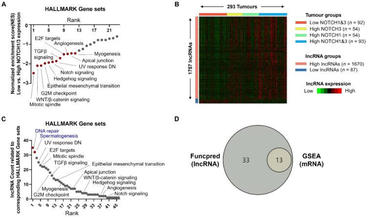 https://cdn.ncbi.nlm.nih.gov/pmc/blobs/05dc/8946805/4455ec7fd8a2/cancers-14-01557-g001.jpg