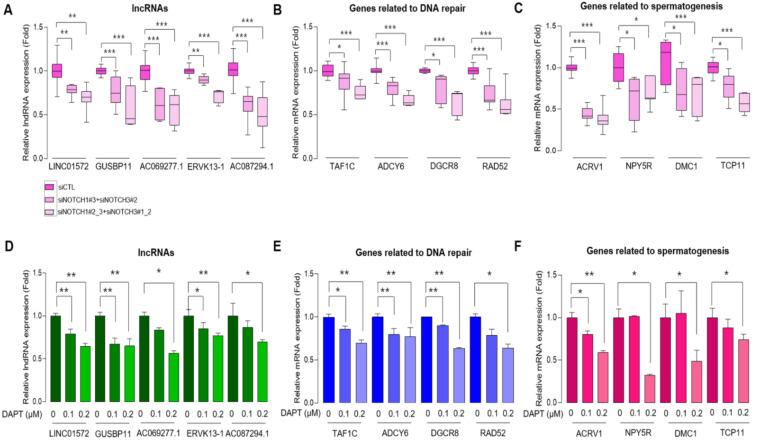 https://cdn.ncbi.nlm.nih.gov/pmc/blobs/05dc/8946805/59028deb5435/cancers-14-01557-g003.jpg