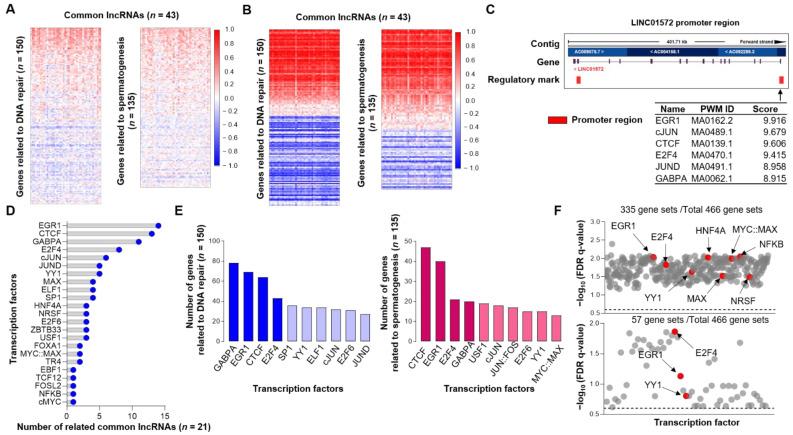 https://cdn.ncbi.nlm.nih.gov/pmc/blobs/05dc/8946805/801e39aacced/cancers-14-01557-g005.jpg