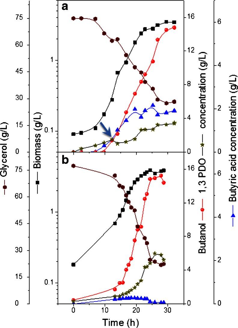 https://cdn.ncbi.nlm.nih.gov/pmc/blobs/05df/3986902/264602d7cdf2/253_2014_5588_Fig2_HTML.jpg