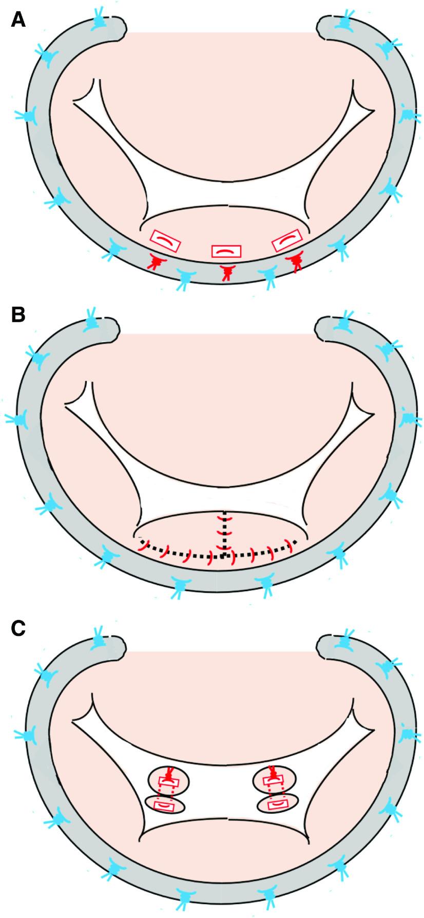 https://cdn.ncbi.nlm.nih.gov/pmc/blobs/05e4/9433892/4b7ce4ac5657/atcs-28-239-g006.jpg