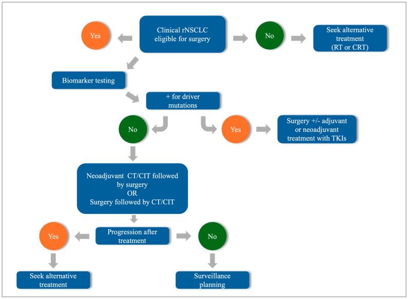 https://cdn.ncbi.nlm.nih.gov/pmc/blobs/05e6/12248553/f647a3eb1356/cells-14-00971-g001.jpg