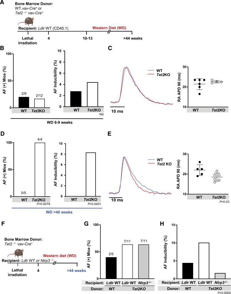 https://cdn.ncbi.nlm.nih.gov/pmc/blobs/05e8/11062614/8b83b4c0f033/cir-149-1419-g004.jpg