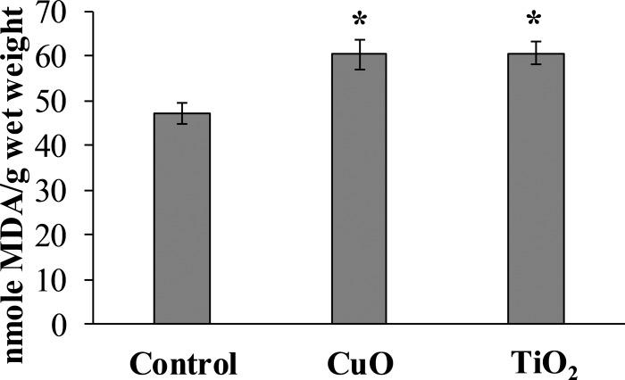https://cdn.ncbi.nlm.nih.gov/pmc/blobs/05e9/12356180/7555b8557504/peerj-13-19838-g004.jpg