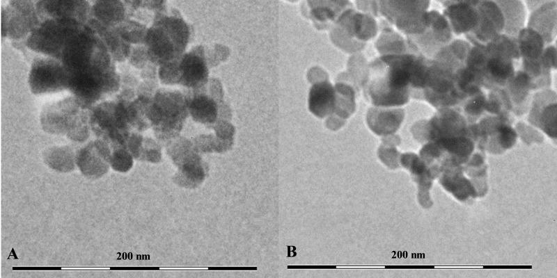 https://cdn.ncbi.nlm.nih.gov/pmc/blobs/05e9/12356180/e39ea022ff7e/peerj-13-19838-g001.jpg