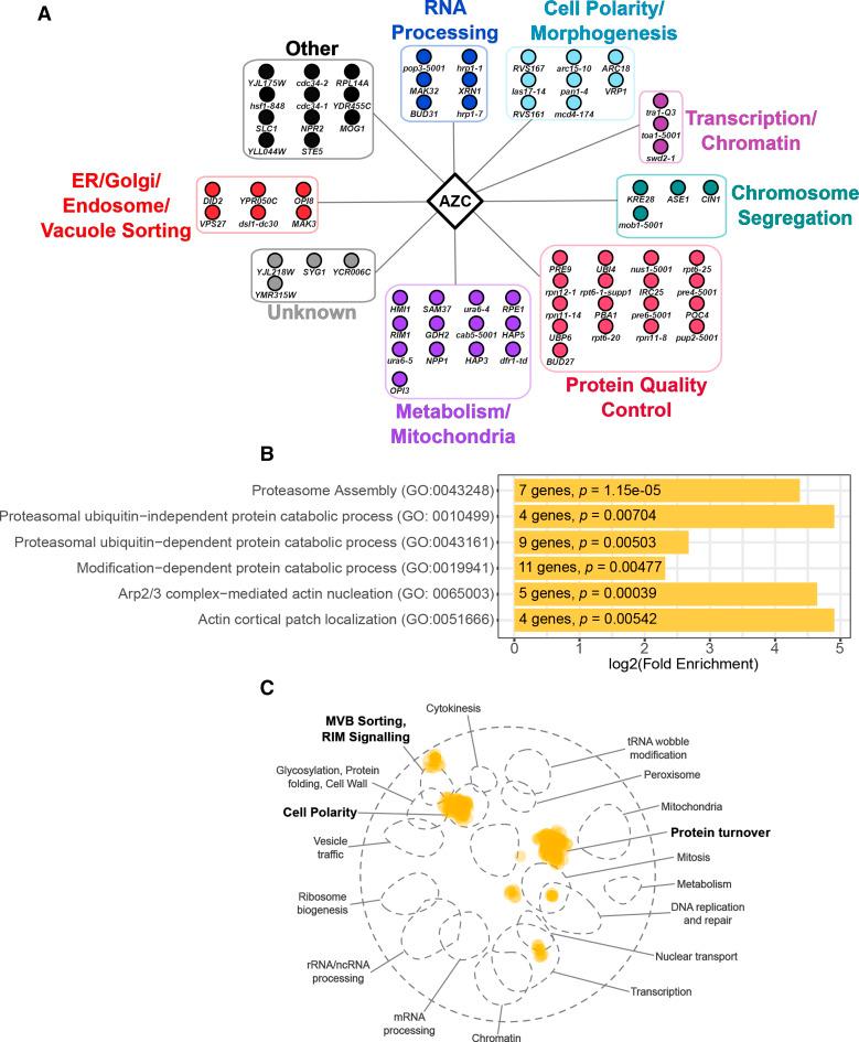 https://cdn.ncbi.nlm.nih.gov/pmc/blobs/05ed/7718759/24b973863da9/4335f2.jpg