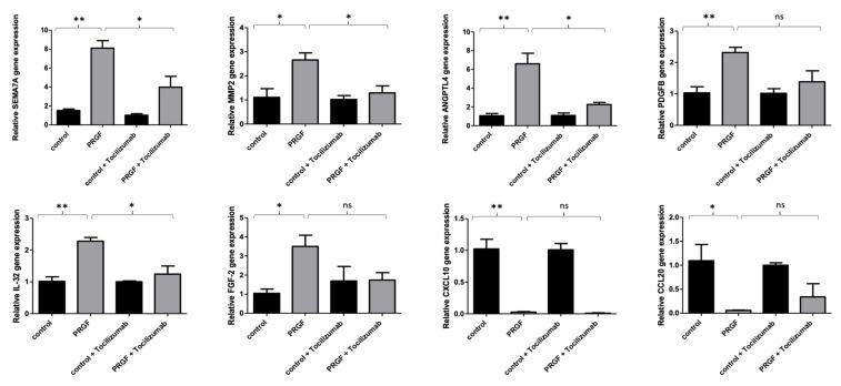 https://cdn.ncbi.nlm.nih.gov/pmc/blobs/05ed/8911300/87d10b12a267/ijms-23-02827-g004.jpg