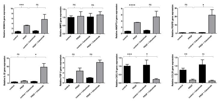 https://cdn.ncbi.nlm.nih.gov/pmc/blobs/05ed/8911300/a04c271b7356/ijms-23-02827-g003.jpg