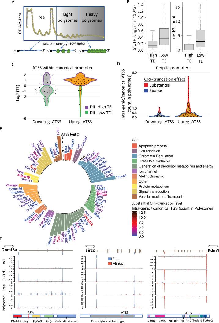 https://cdn.ncbi.nlm.nih.gov/pmc/blobs/05ed/9359700/a4d2b924a901/elife-77714-fig5.jpg