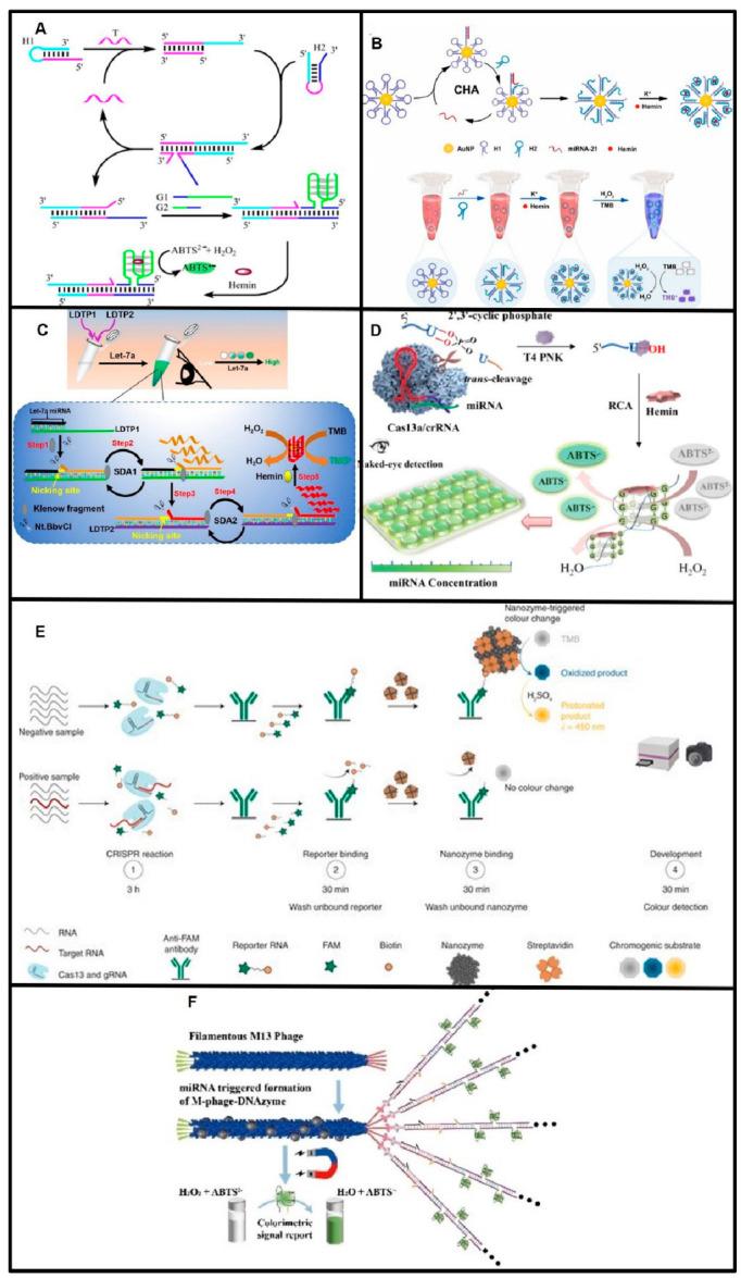 https://cdn.ncbi.nlm.nih.gov/pmc/blobs/05ee/10377738/17918517bb56/biosensors-13-00747-g005.jpg