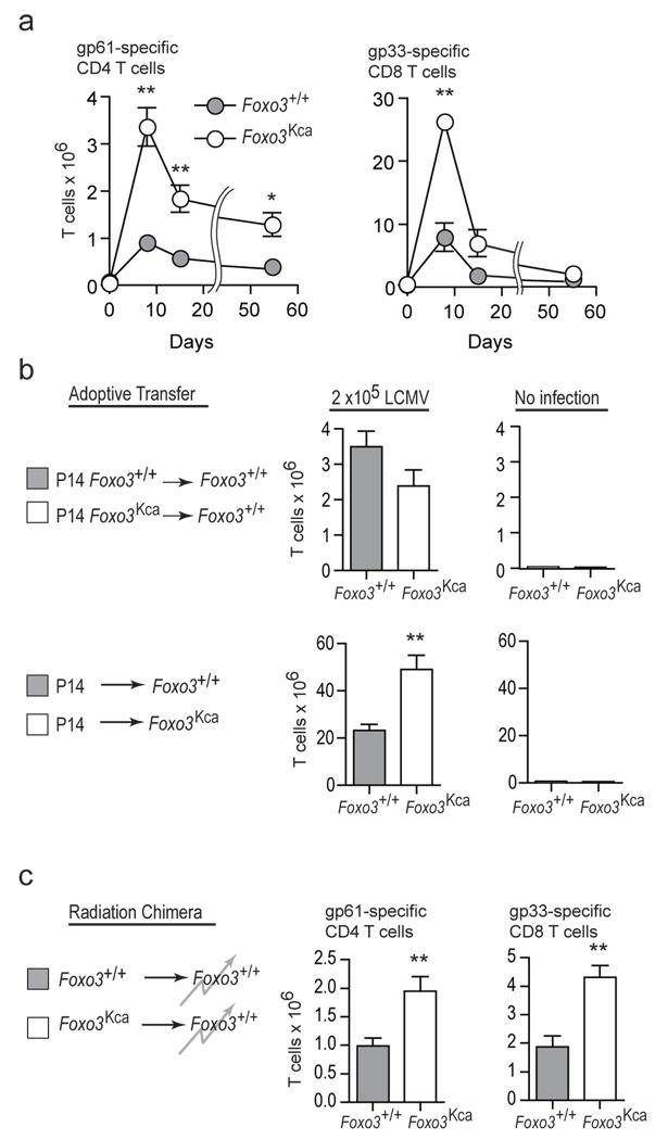 https://cdn.ncbi.nlm.nih.gov/pmc/blobs/05f1/2712214/36059052d885/nihms103945f2.jpg