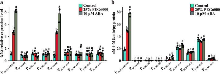 https://cdn.ncbi.nlm.nih.gov/pmc/blobs/05f2/10965894/1970982f6704/42003_2024_6075_Fig6_HTML.jpg