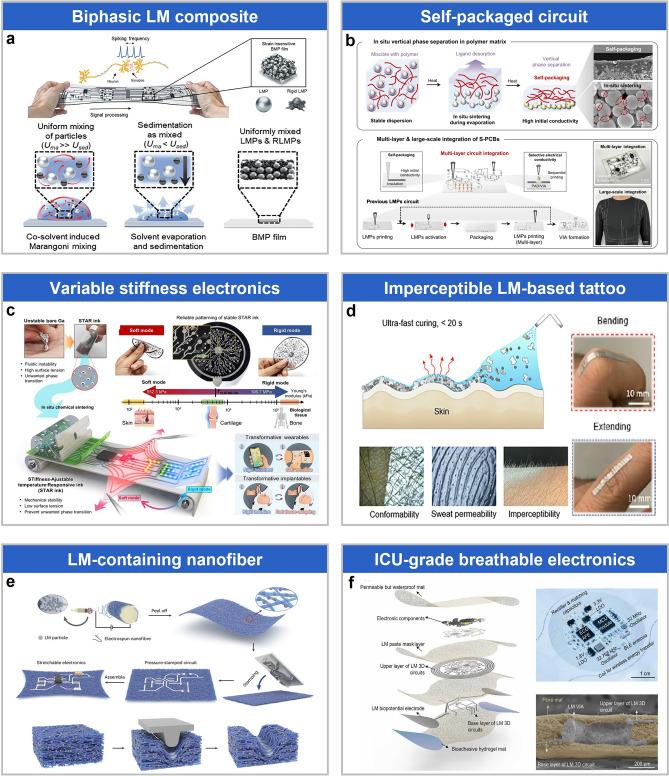 https://cdn.ncbi.nlm.nih.gov/pmc/blobs/05f2/12334786/02d45d583c25/40820_2025_1871_Fig6_HTML.jpg