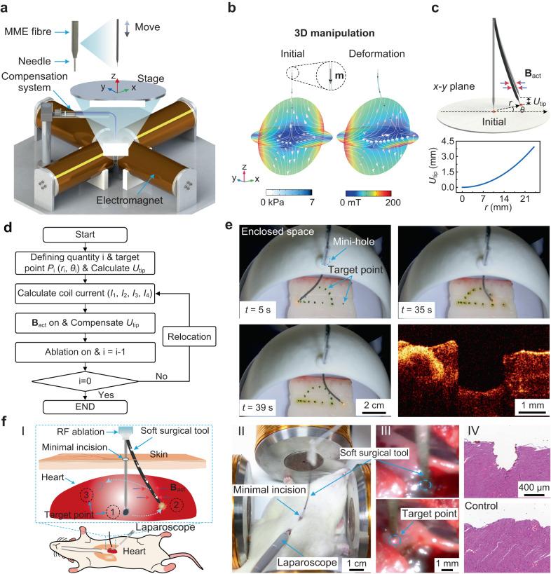 https://cdn.ncbi.nlm.nih.gov/pmc/blobs/05f3/10363174/0a4325e9797d/41467_2023_40109_Fig5_HTML.jpg