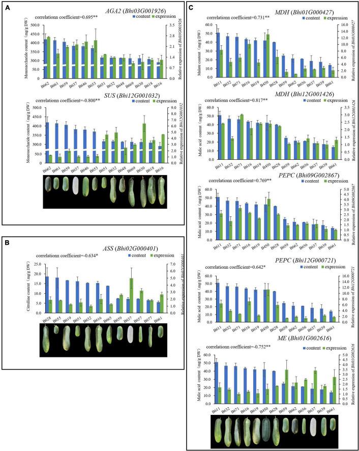 https://cdn.ncbi.nlm.nih.gov/pmc/blobs/05f3/9493329/bd364453dfd1/fpls-13-971274-g004.jpg