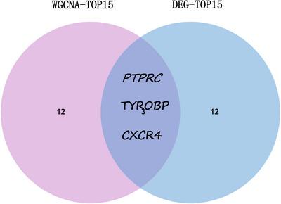 https://cdn.ncbi.nlm.nih.gov/pmc/blobs/05f4/11187814/1a8cf00f8e40/SRT-30-e13808-g012.jpg
