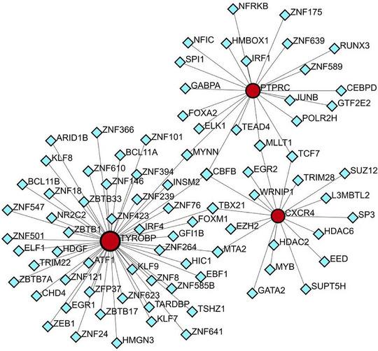 https://cdn.ncbi.nlm.nih.gov/pmc/blobs/05f4/11187814/699d22562432/SRT-30-e13808-g005.jpg