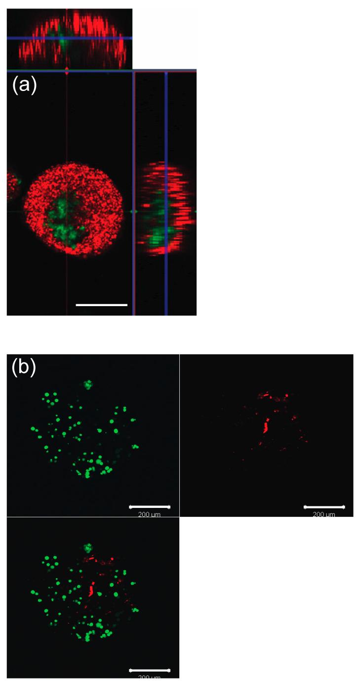 https://cdn.ncbi.nlm.nih.gov/pmc/blobs/05f4/7999445/230725c550c2/micromachines-12-00261-g003.jpg