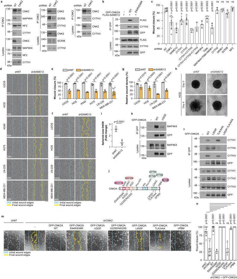 https://cdn.ncbi.nlm.nih.gov/pmc/blobs/05f6/10272126/005508be9555/41467_2023_39281_Fig3_HTML.jpg