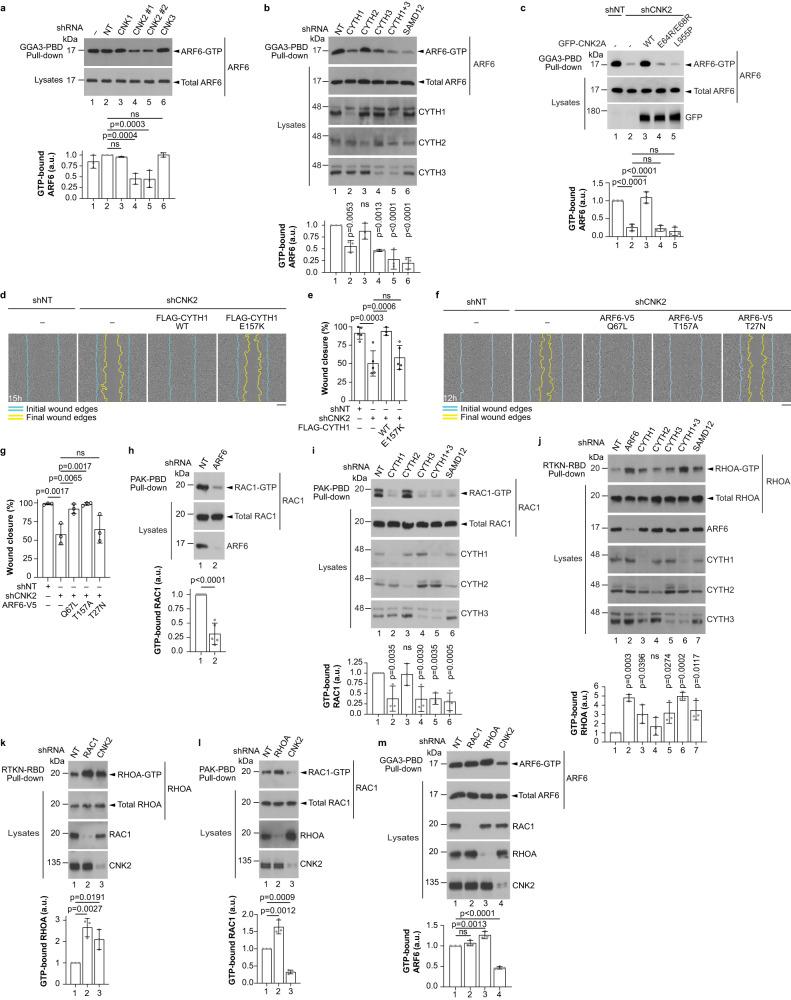 https://cdn.ncbi.nlm.nih.gov/pmc/blobs/05f6/10272126/f7183f30f5a7/41467_2023_39281_Fig4_HTML.jpg