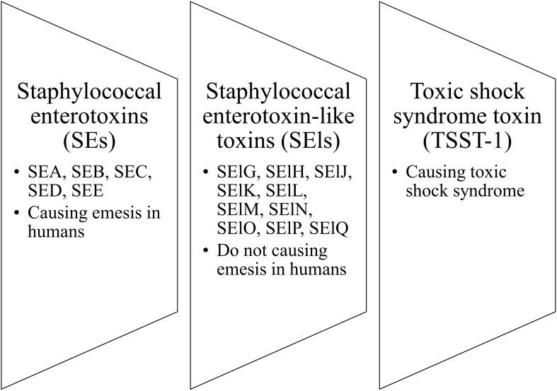 https://cdn.ncbi.nlm.nih.gov/pmc/blobs/05f6/7830525/7a6eda5c7131/fmicb-11-567090-g004.jpg