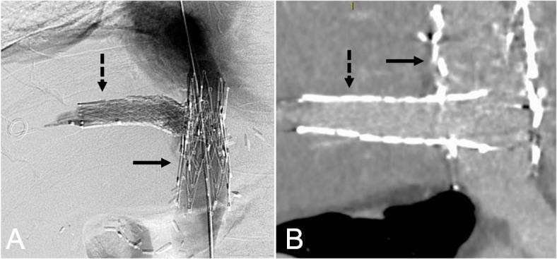 https://cdn.ncbi.nlm.nih.gov/pmc/blobs/05f8/12397019/ab108a362432/42155_2025_590_Fig2_HTML.jpg