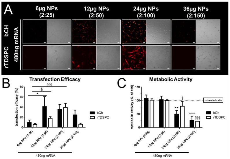 https://cdn.ncbi.nlm.nih.gov/pmc/blobs/05f8/8301349/77d829d6847c/biomedicines-09-00794-g004.jpg
