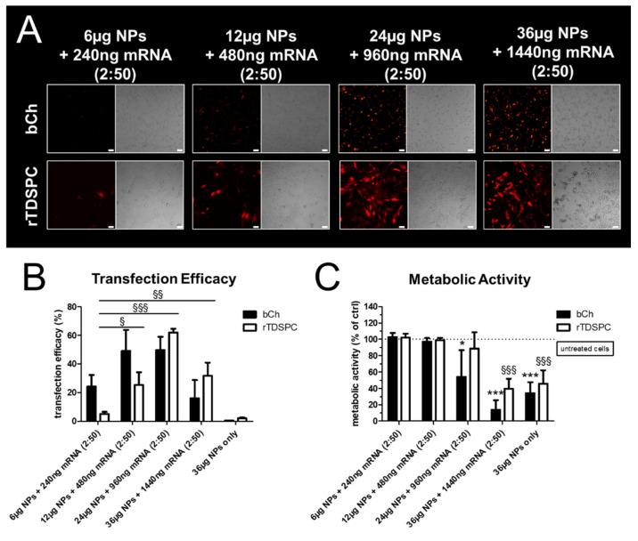 https://cdn.ncbi.nlm.nih.gov/pmc/blobs/05f8/8301349/bd0d7402f757/biomedicines-09-00794-g006.jpg